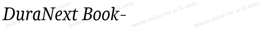 DuraNext Book字体转换